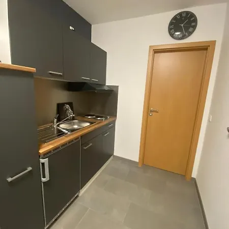 Ferienwohnung Rheinblick Apartment