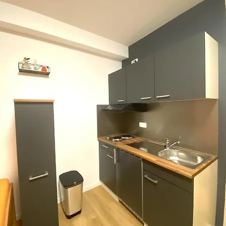Ferienwohnung Rheinblick Apartment *